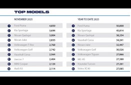 New car market, November 2025, top selling cars